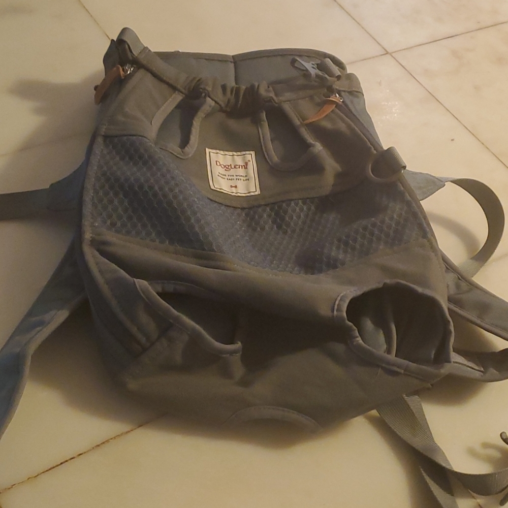 Dog carrying backpack